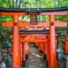 Discovering Kyoto: Where Tradition Meets Tranquility