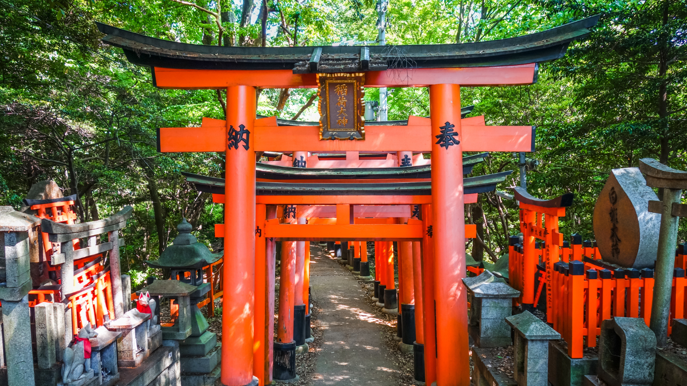 Discovering Kyoto: Where Tradition Meets Tranquility