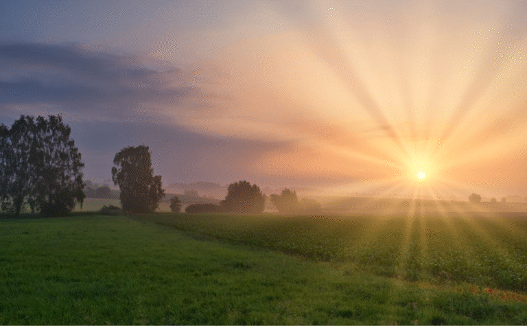 10 Morning Routines to Kickstart a Productive Day